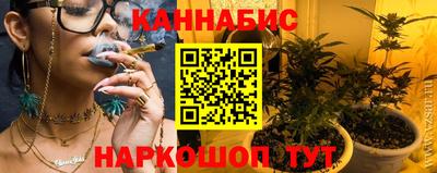 spice Моздок