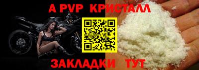 spice Моздок