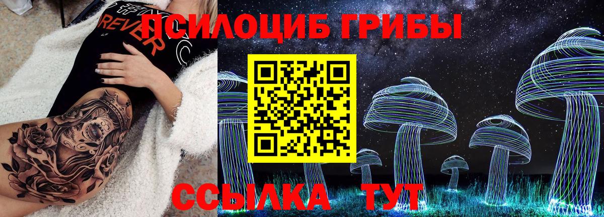 Псилоцибиновые грибы ЛСД  Псилоцибиновые грибы GOLDEN TEACHER  Урюпинск  Вход с VPN 