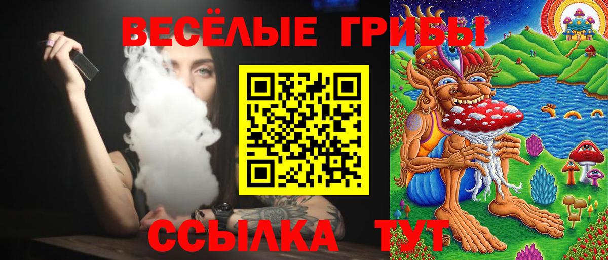 Галлюциногенные грибы Psilocybine cubensis Урюпинск