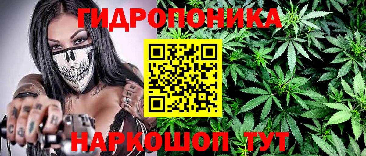 Марихуана Bruce Banner  Конопля гибрид  Урюпинск  Марихуана конопля  Вход с VPN 